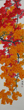 Flowers 1 R1