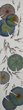 Flowers 2 R2